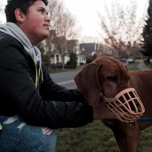 Meet your Posher, Benjamin